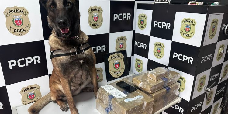 PCPR prende homem e apreende drogas em rodoviária