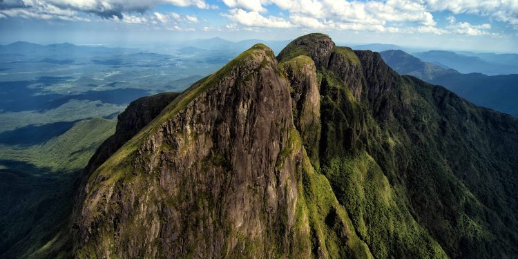 Secretaria da Saúde alerta sobre cuidados para quem frequenta áreas de mata no verão