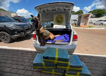 PMPR apreende veículo carregado com 175 quilos de maconha