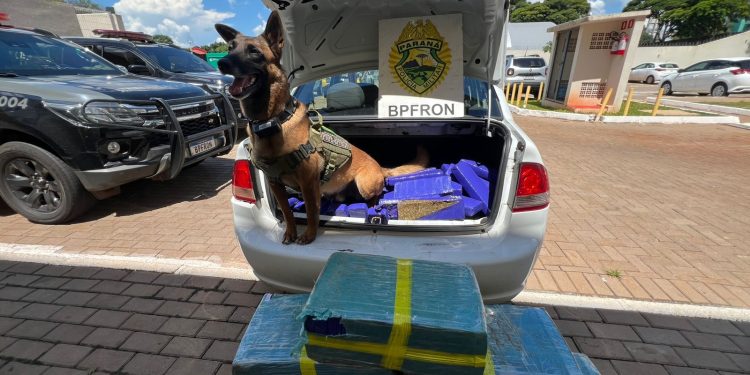 PMPR apreende veículo carregado com 175 quilos de maconha