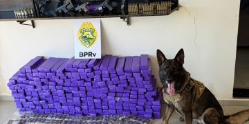 PMPR apreende 210 quilos de drogas, fuzil e quatro armas em abordagem no Paraná
