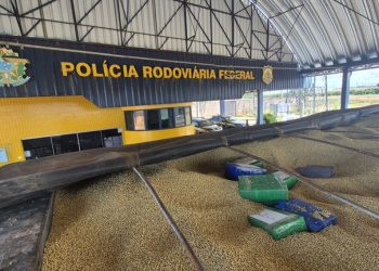 PRF apreende mais de 3 toneladas de maconha em carga de soja no oeste do Paraná