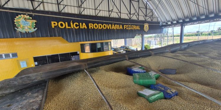 PRF apreende mais de 3 toneladas de maconha em carga de soja no oeste do Paraná