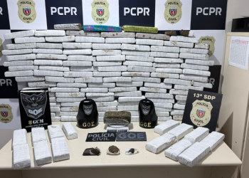 PCPR e GCM apreendem 100 quilos de maconha em Ponta Grossa