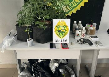 Ameaça com arma leva Pelotão Motos a descobrir estufa de maconha no Centro Cívico