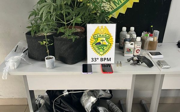 Ameaça com arma leva Pelotão Motos a descobrir estufa de maconha no Centro Cívico