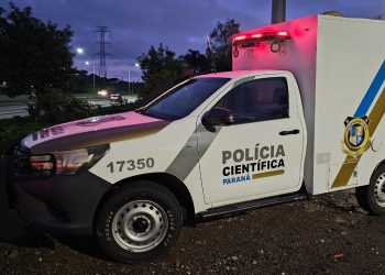 Motorista morre após carro atropelar cavalo e capotar no Contorno Leste