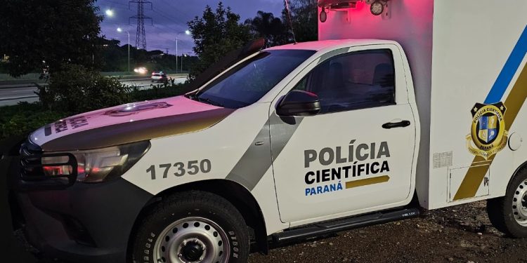 Motorista morre após carro atropelar cavalo e capotar no Contorno Leste