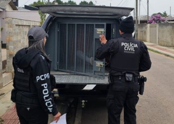 Polícia Civil prende criminoso especializado em furtos de equipamentos de combate a incêndio