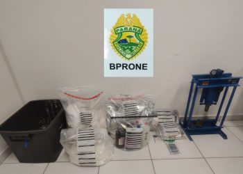RONE apreende 35 quilos de cocaína e desmantela laboratório de refino em Araucária