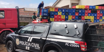 PCPR faz descarte de 400 engradados de cervejas falsificadas