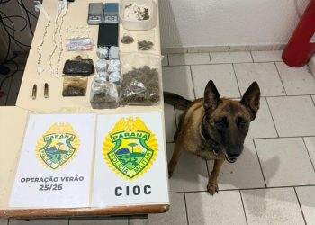 Cão da PMPR localiza ‘supermercado’ de drogas com haxixe e óleo de THC em Guaratuba