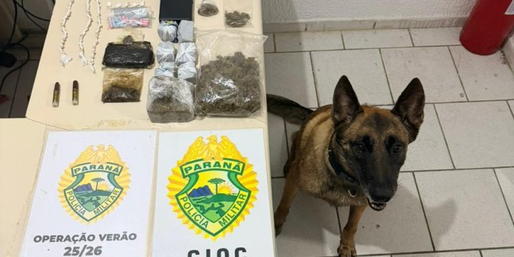 Cão da PMPR localiza ‘supermercado’ de drogas com haxixe e óleo de THC em Guaratuba