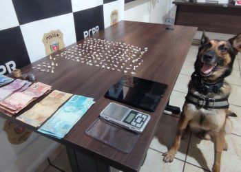 PCPR desarticula esquema de tráfico e prende quatro pessoas em flagrante em Guaratuba