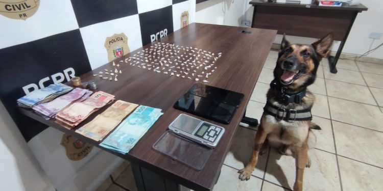 PCPR desarticula esquema de tráfico e prende quatro pessoas em flagrante em Guaratuba