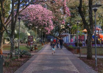 Semana deve ser de muito calor no Paraná com chuva no início do Carnaval