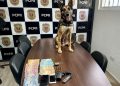 PCPR prende duas pessoas durante cumprimento de mandado de busca e apreensão