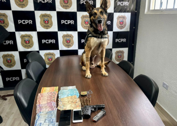 PCPR prende duas pessoas durante cumprimento de mandado de busca e apreensão