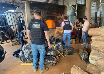 PCPR incinera cerca de uma tonelada de entorpecentes