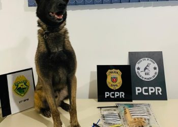 PCPR e PMPR prendem liderança do tráfico de drogas em São Mateus do Sul