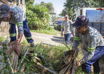 Prefeitura de Curitiba leva mutirão contra a dengue a quatro regionais durante o mês de março