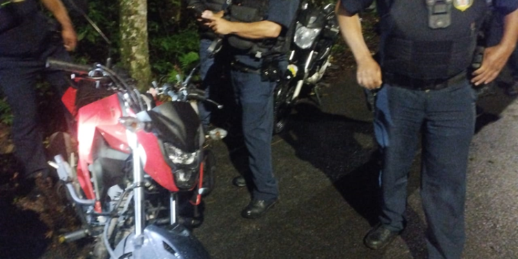 Guarda Municipal recupera motos furtadas em área de mata próxima ao Zoológico