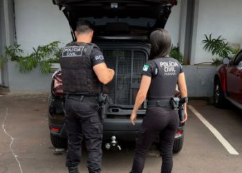 Polícia Civil prende homem por cárcere privado e incêndio criminoso em Umuarama