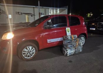 PMPR apreende mais de 80 quilos de maconha na BR-163