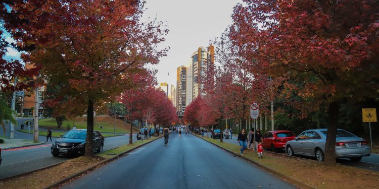 Saúde reforça importância de cuidados com doenças respiratórias típicas do outono