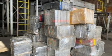 PCPR incinera mais de 7,4 toneladas de drogas em Matelândia