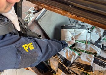 PRF apreende mais de 300 kg de agrotóxicos contrabandeados em Guaíra (PR)