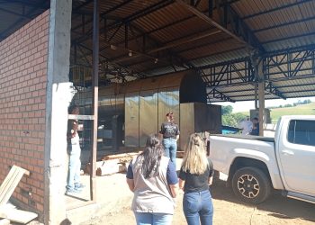 PCPR incinera cerca de 220 quilos de maconha em Francisco Beltrão