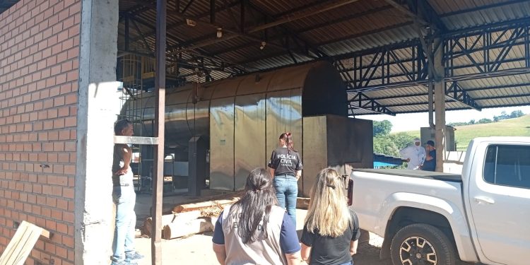 PCPR incinera cerca de 220 quilos de maconha em Francisco Beltrão