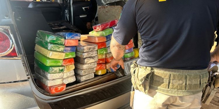 Mãe e filho são presos com 70 kg de drogas em fundo falso de veículo na BR-369