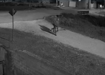 Divisão de Homicídios prende suspeito de matar adolescente no bairro Cajuru, em Curitiba