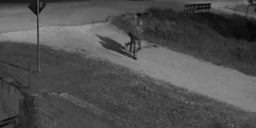 Divisão de Homicídios prende suspeito de matar adolescente no bairro Cajuru, em Curitiba