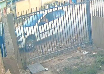 Condutor sem CNH morre após colisão em Curitiba, veja o vídeo