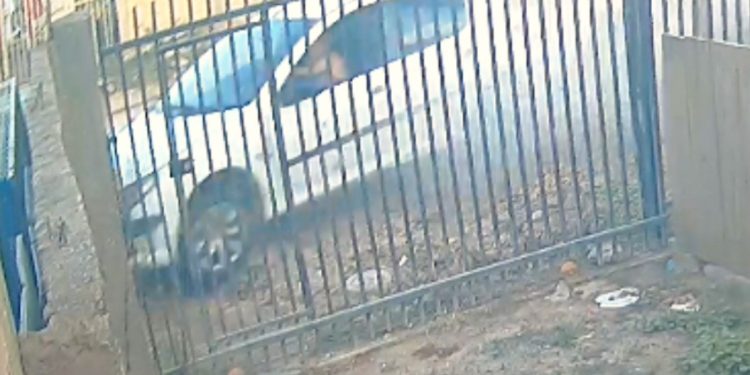 Condutor sem CNH morre após colisão em Curitiba, veja o vídeo