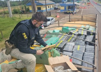 PRF apreende mais de 5,4 toneladas de maconha escondidas em carga de milho no Paraná