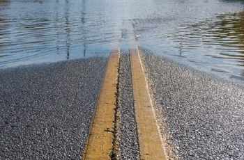 Com previsão de chuva acima da média, Saúde reforça cuidados contra leptospirose no outono