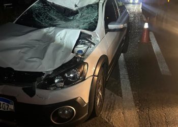 Pedestre morre atropelado na BR-277 ao tentar atravessar rodovia em Campo Largo