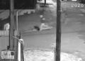 Vítima leva facadas nas costas durante assalto em Curitiba; PM prendeu um dos envolvidos no crime, veja o vídeo