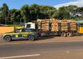 PRF flagra caminhão com 15 toneladas de excesso de carga e motorista com CNH suspensa na BR-277