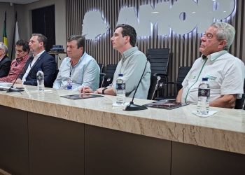 Prefeitos cobram melhorias da Copel após prejuízos causados por quedas de energia no campo
