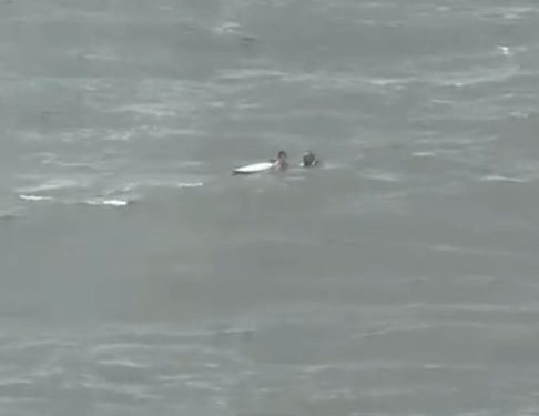 Helicóptero da PM resgata surfista no mar, mas jovem morre após afogamento na Ilha do Mel