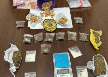 Polícia Civil prende mulher em flagrante por tráfico de drogas em Pinhais