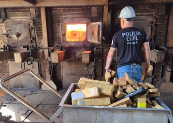 PCPR incinera mais de 1,3 toneladas de entorpecentes em Campo Mourão