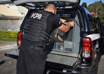 PCPR e PMPR desarticulam grupo criminoso investigado por roubo em Paranavaí
