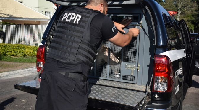 PCPR e PMPR desarticulam grupo criminoso investigado por roubo em Paranavaí