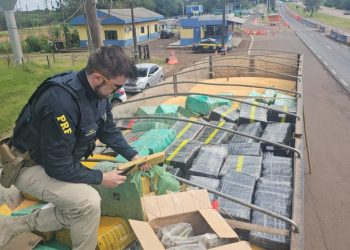 PRF apreende, no Paraná, a maior quantidade de maconha do ano em rodovias federais